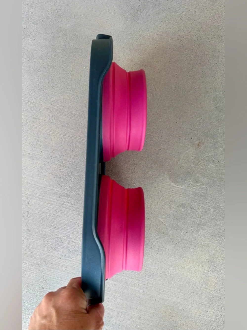 Collapsible & Portable Pet Travel Bowl Set